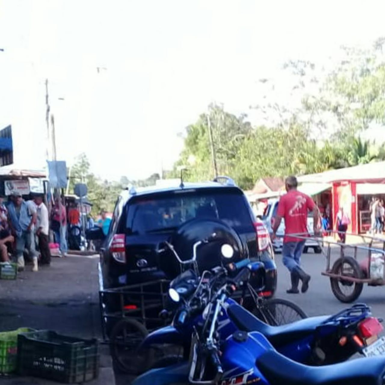 guinea1